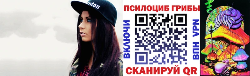 Купить закладки  Петушки  Галлюциногенные грибы мицелий 